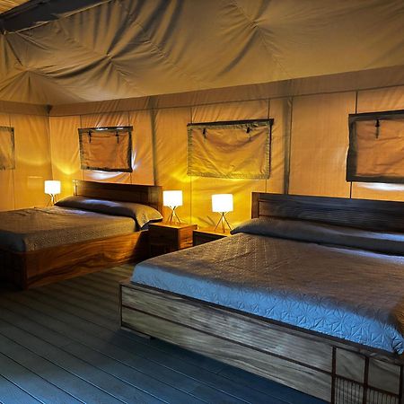 Arenal Backpackers Resort ラ・フォルトゥナ エクステリア 写真