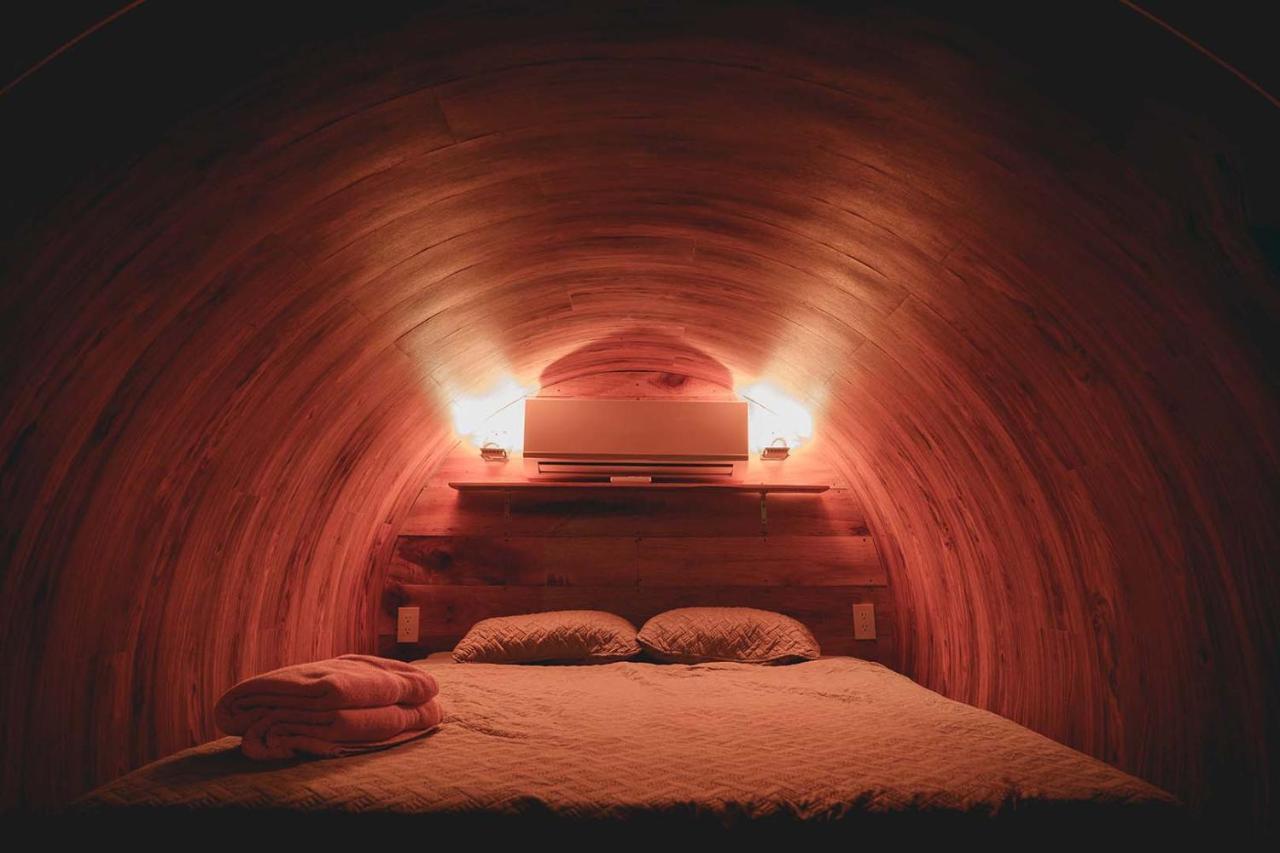 Arenal Backpackers Resort ラ・フォルトゥナ エクステリア 写真 A bedroom in the Earth Ship
