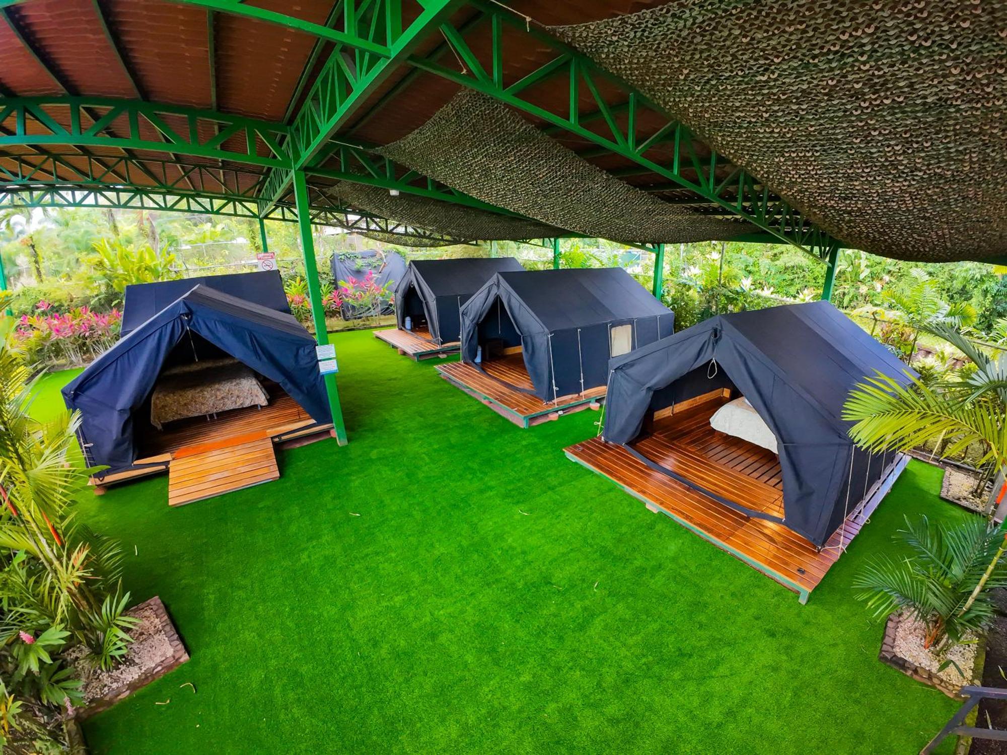 Arenal Backpackers Resort ラ・フォルトゥナ エクステリア 写真 Eco-Tents at the resort