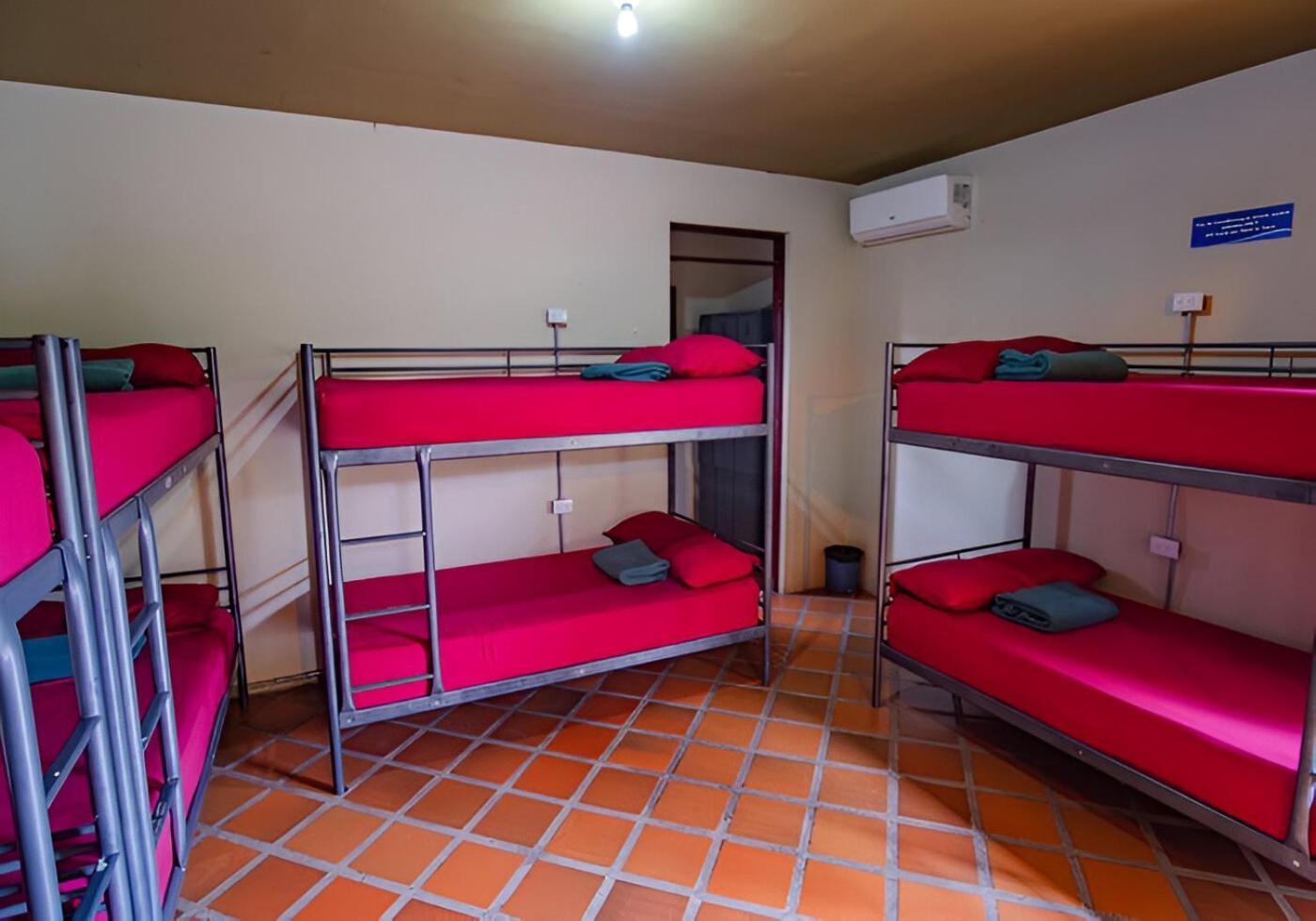 Arenal Backpackers Resort ラ・フォルトゥナ エクステリア 写真 Hostel in Mexico City