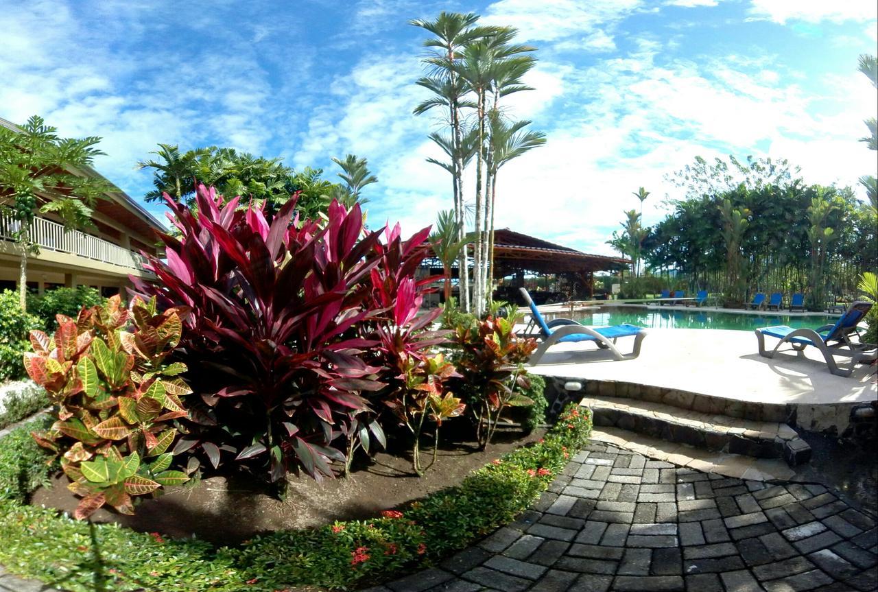 Arenal Backpackers Resort ラ・フォルトゥナ エクステリア 写真 The pool at the resort