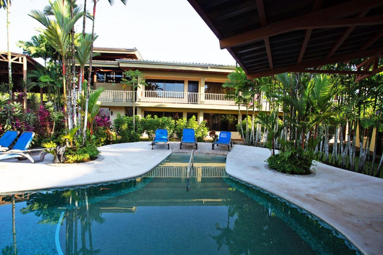 Arenal Backpackers Resort ラ・フォルトゥナ エクステリア 写真 The swimming pool at the hotel