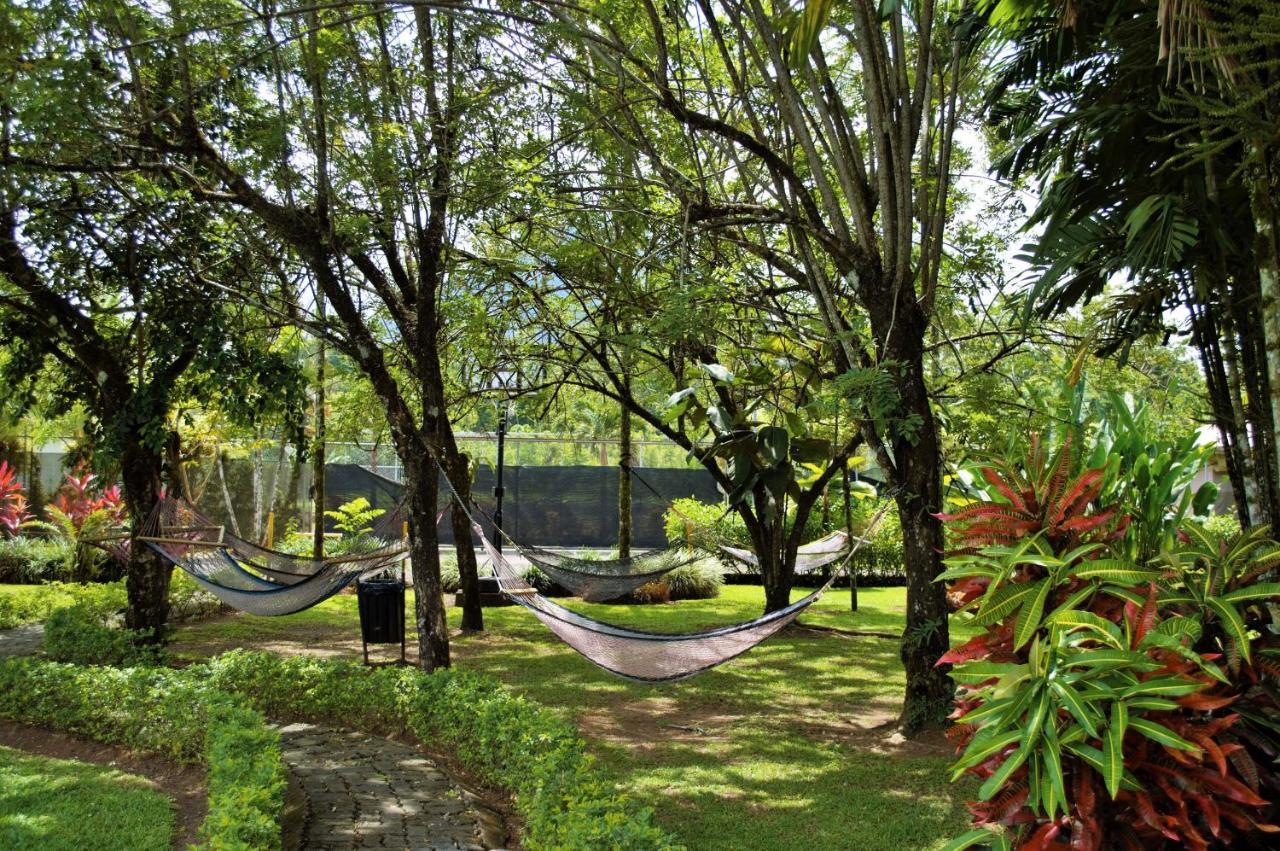 Arenal Backpackers Resort ラ・フォルトゥナ エクステリア 写真 Hammocks at the University of Hawaii at Hilo
