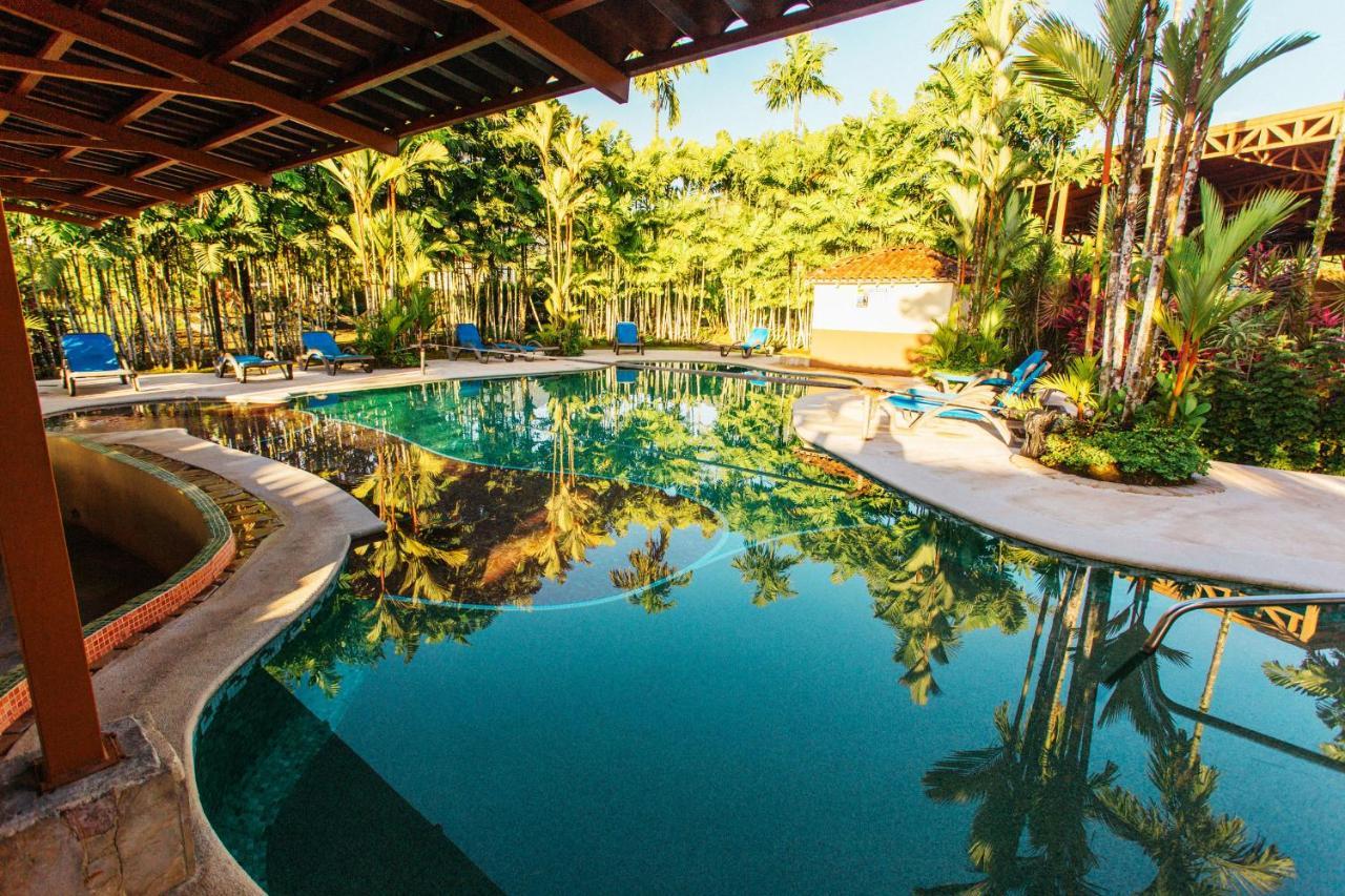 Arenal Backpackers Resort ラ・フォルトゥナ エクステリア 写真 The swimming pool at the resort